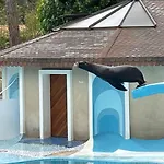 ゲストハウス Charming In A Quiet Area, Heated Pool Year Charente-maritime 4*