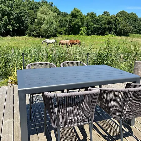 بيت ضيافة Charming In A Quiet Area, Heated Pool Year Charente-maritime لو ماثيز